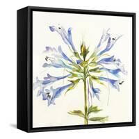 Sheer Beauty III-Liz Jardine-Framed Stretched Canvas