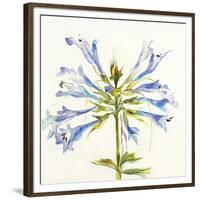 Sheer Beauty III-Liz Jardine-Framed Premium Giclee Print