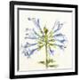 Sheer Beauty III-Liz Jardine-Framed Premium Giclee Print