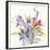 Sheer Beauty IV-Liz Jardine-Framed Premium Giclee Print