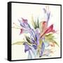 Sheer Beauty IV-Liz Jardine-Framed Stretched Canvas