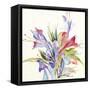 Sheer Beauty IV-Liz Jardine-Framed Stretched Canvas