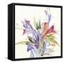 Sheer Beauty IV-Liz Jardine-Framed Stretched Canvas