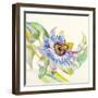 Sheer Beauty IX-Liz Jardine-Framed Art Print