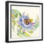 Sheer Beauty IX-Liz Jardine-Framed Art Print