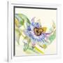 Sheer Beauty IX-Liz Jardine-Framed Premium Giclee Print