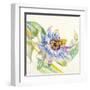 Sheer Beauty IX-Liz Jardine-Framed Art Print