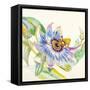 Sheer Beauty IX-Liz Jardine-Framed Stretched Canvas