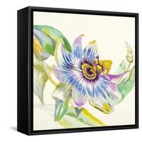 Sheer Beauty IX-Liz Jardine-Framed Stretched Canvas