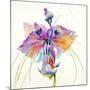 Sheer Beauty V-Liz Jardine-Mounted Art Print