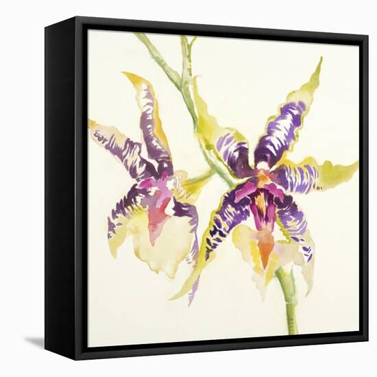 Sheer Beauty VI-Liz Jardine-Framed Stretched Canvas