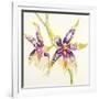 Sheer Beauty VI-Liz Jardine-Framed Art Print