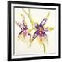 Sheer Beauty VI-Liz Jardine-Framed Art Print