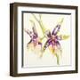 Sheer Beauty VI-Liz Jardine-Framed Art Print