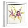 Sheer Beauty VI-Liz Jardine-Framed Art Print