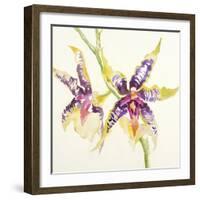 Sheer Beauty VI-Liz Jardine-Framed Art Print