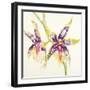 Sheer Beauty VI-Liz Jardine-Framed Art Print