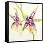 Sheer Beauty VI-Liz Jardine-Framed Stretched Canvas