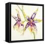 Sheer Beauty VI-Liz Jardine-Framed Stretched Canvas