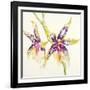 Sheer Beauty VI-Liz Jardine-Framed Art Print