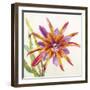 Sheer Beauty VII-Liz Jardine-Framed Art Print