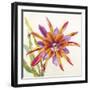 Sheer Beauty VII-Liz Jardine-Framed Art Print