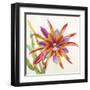 Sheer Beauty VII-Liz Jardine-Framed Art Print