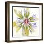 Sheer Beauty VIII-Liz Jardine-Framed Art Print