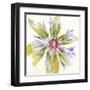 Sheer Beauty VIII-Liz Jardine-Framed Art Print