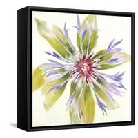 Sheer Beauty VIII-Liz Jardine-Framed Stretched Canvas