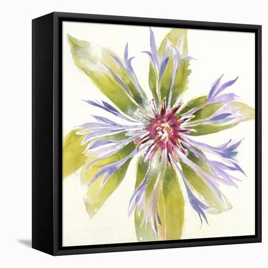 Sheer Beauty VIII-Liz Jardine-Framed Stretched Canvas