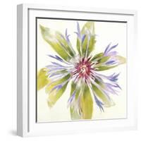 Sheer Beauty VIII-Liz Jardine-Framed Art Print