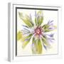 Sheer Beauty VIII-Liz Jardine-Framed Art Print