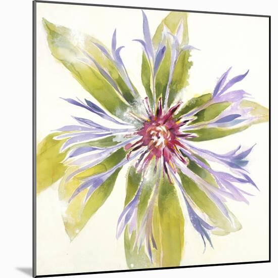 Sheer Beauty VIII-Liz Jardine-Mounted Art Print