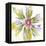 Sheer Beauty VIII-Liz Jardine-Framed Stretched Canvas