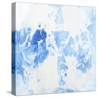 Sheer Bliss-Joshua Schicker-Stretched Canvas