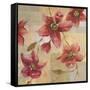 Sheer Botanical-Jurgen Gottschlag-Framed Stretched Canvas