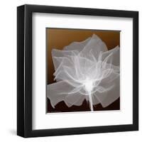 Sheer Delicacy-null-Framed Art Print