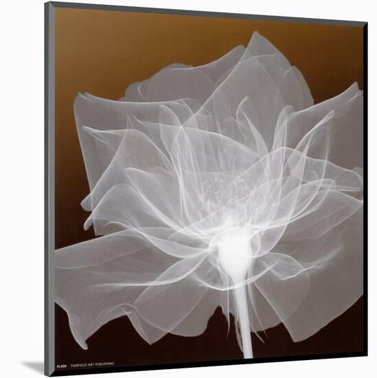 Sheer Delicacy-null-Mounted Art Print