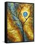 Sheer Magic II-Megan Aroon Duncanson-Framed Stretched Canvas