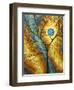 Sheer Magic II-Megan Aroon Duncanson-Framed Art Print