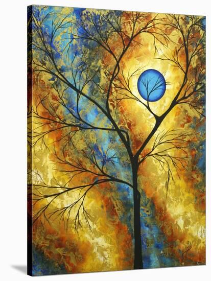 Sheer Magic II-Megan Aroon Duncanson-Stretched Canvas