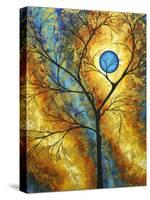 Sheer Magic II-Megan Aroon Duncanson-Stretched Canvas