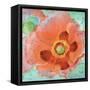 Sheer Poppy Love 1-Elle Summers-Framed Stretched Canvas