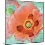 Sheer Poppy Love 1-Elle Summers-Mounted Art Print
