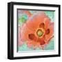 Sheer Poppy Love 1-Elle Summers-Framed Art Print