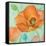 Sheer Poppy Love 2-Elle Summers-Framed Stretched Canvas