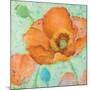 Sheer Poppy Love 2-Elle Summers-Mounted Art Print
