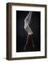 Sheer Stretch-Catchlight Studio-Framed Photographic Print