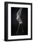 Sheer Stretch-Catchlight Studio-Framed Photographic Print